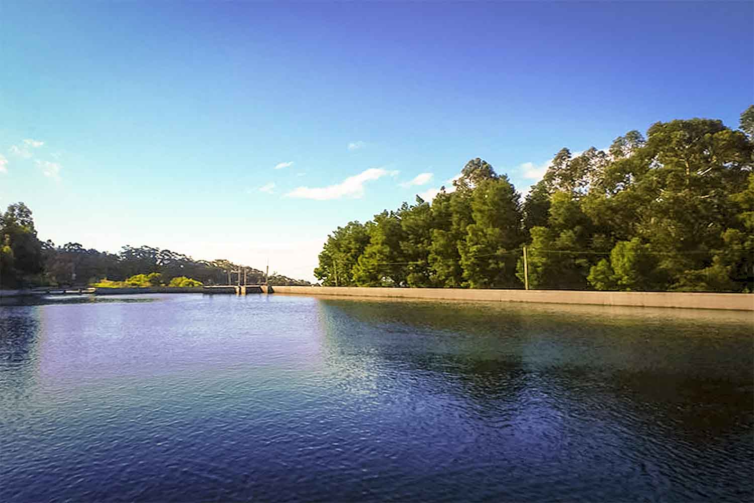 LEVADA CALHETA – PRAZERES WALK