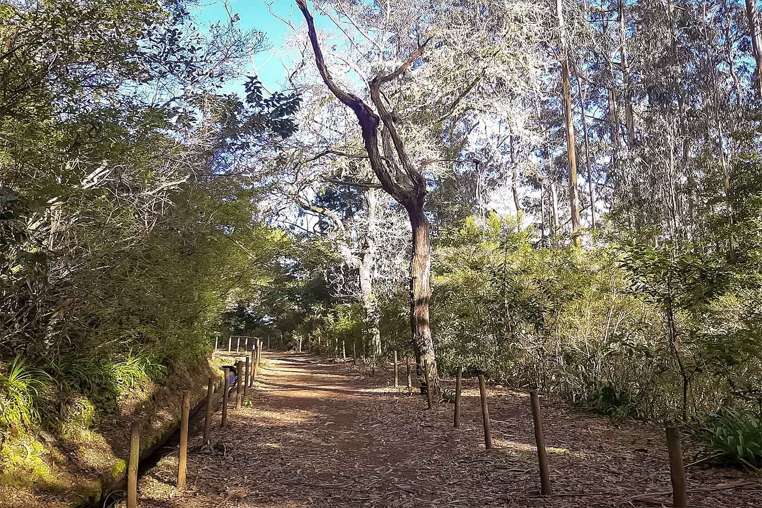 Levada Caminho para Todos Walk