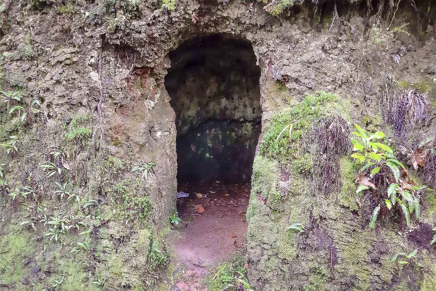 Levada Caminho para Todos Walk