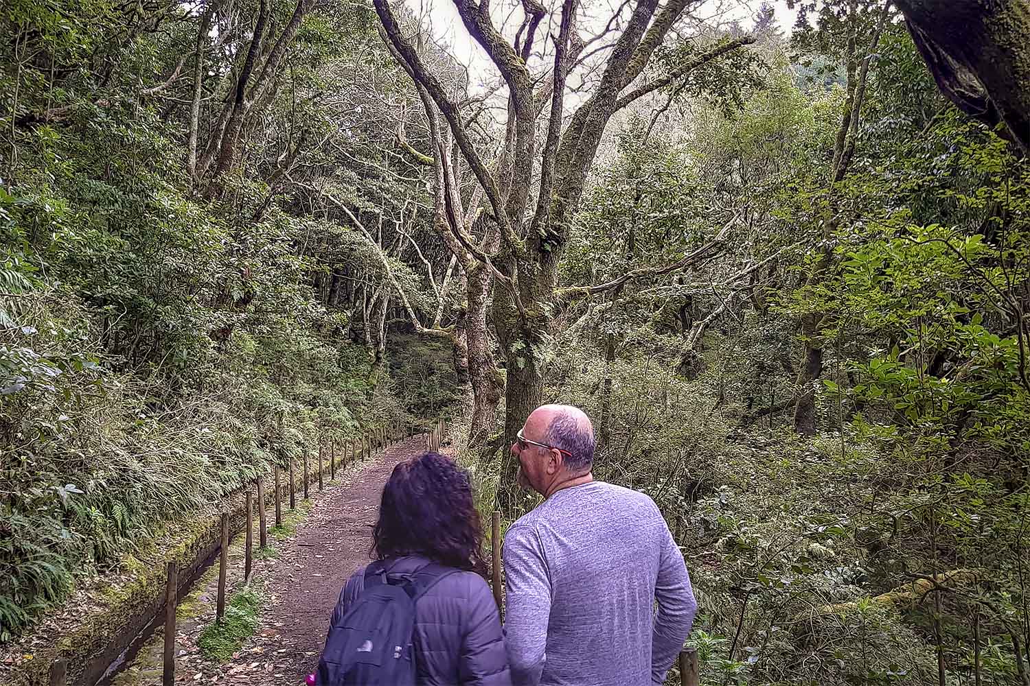 Levada Caminho para Todos Walk