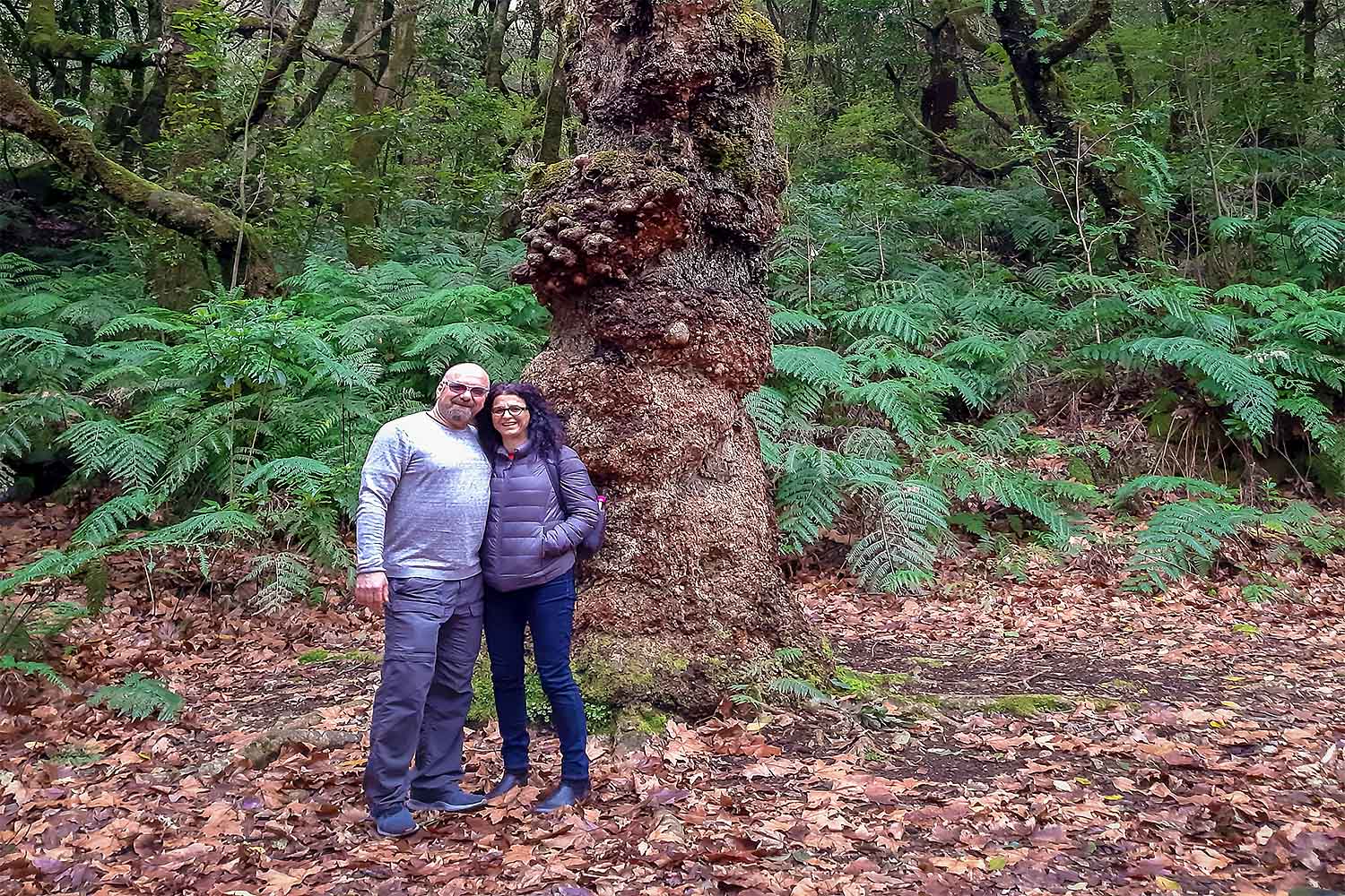 Levada Caminho para Todos Walk