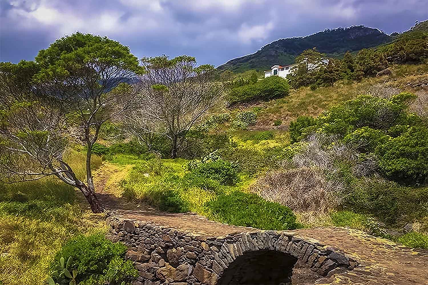 Levada Caniçal – Pico do Facho Walk