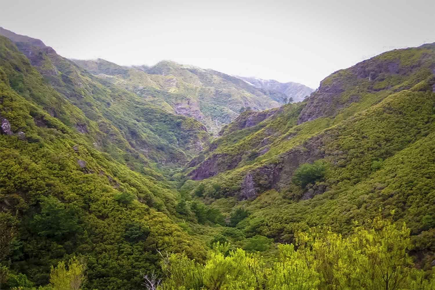 Ribeiro Frio – Portela Walk