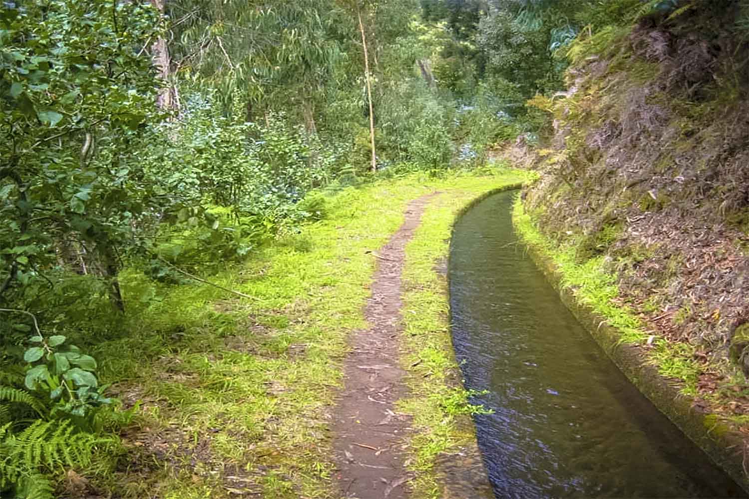 Ribeiro Frio – Portela Walk