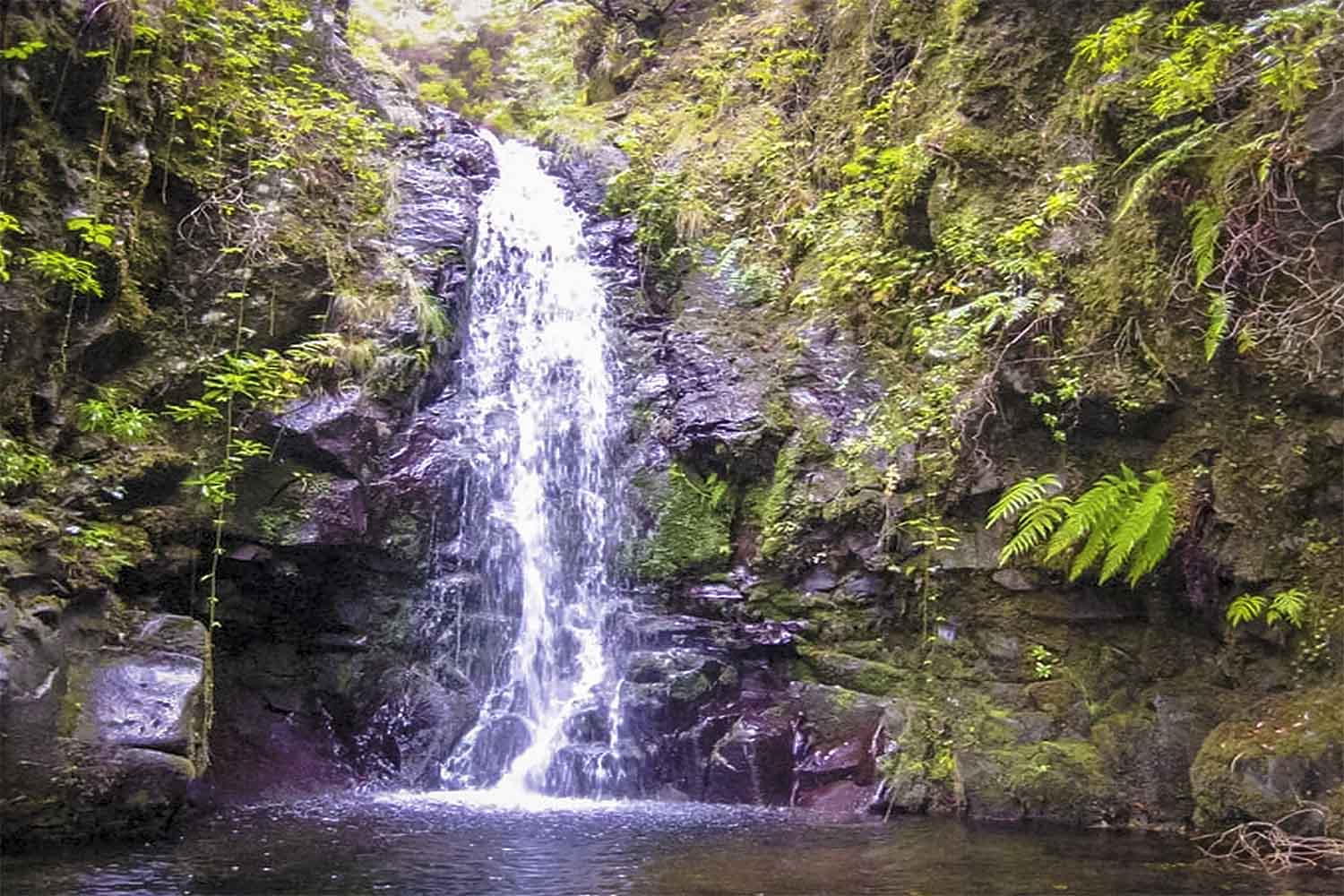 Ribeiro Frio – Portela Walk