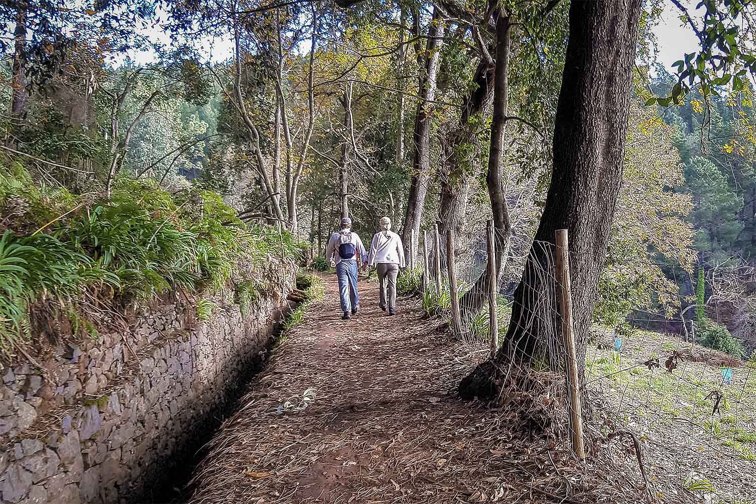 Levada da Serra do Faial – Camacha Walk