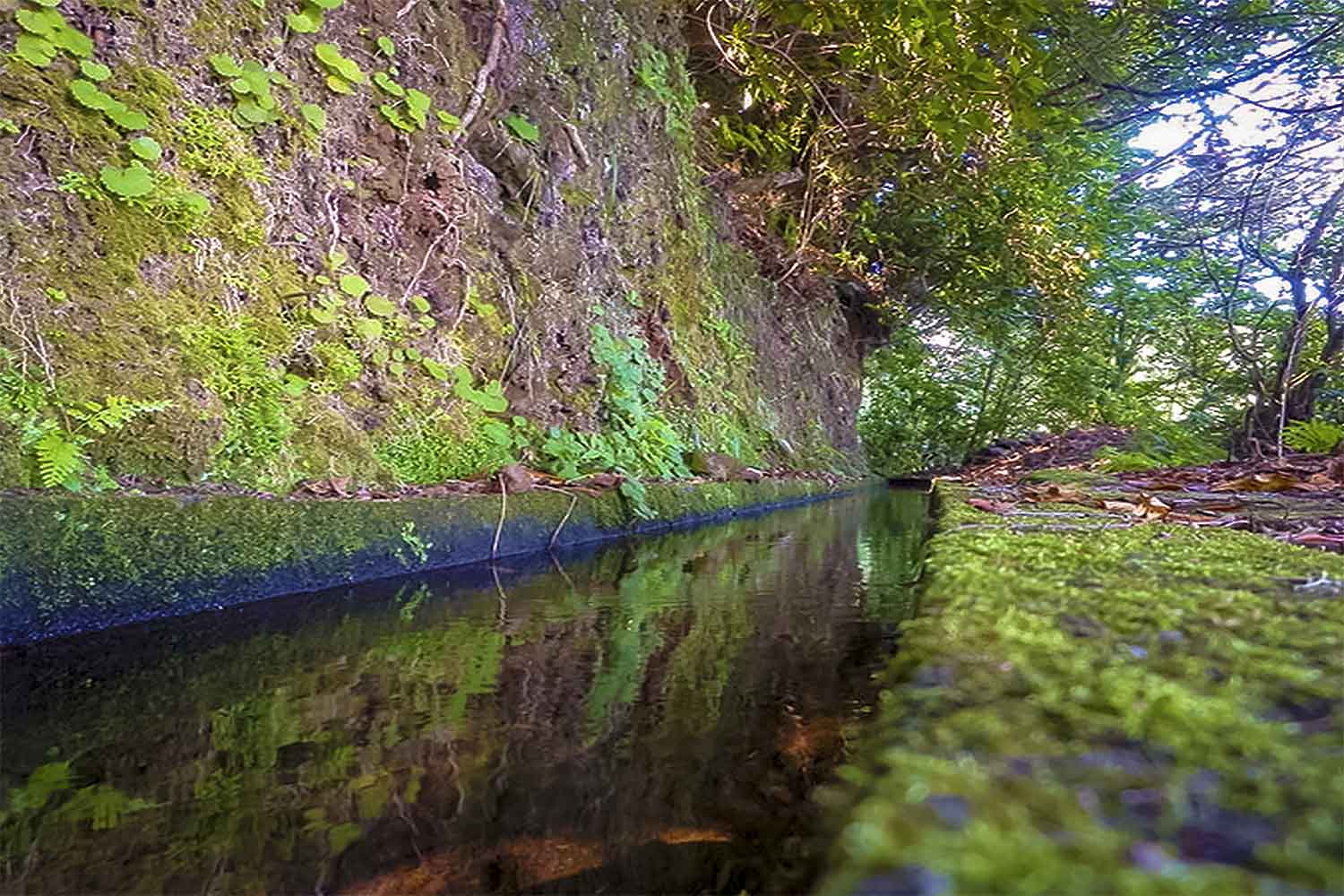 LEVADA DA SILVEIRA WALK