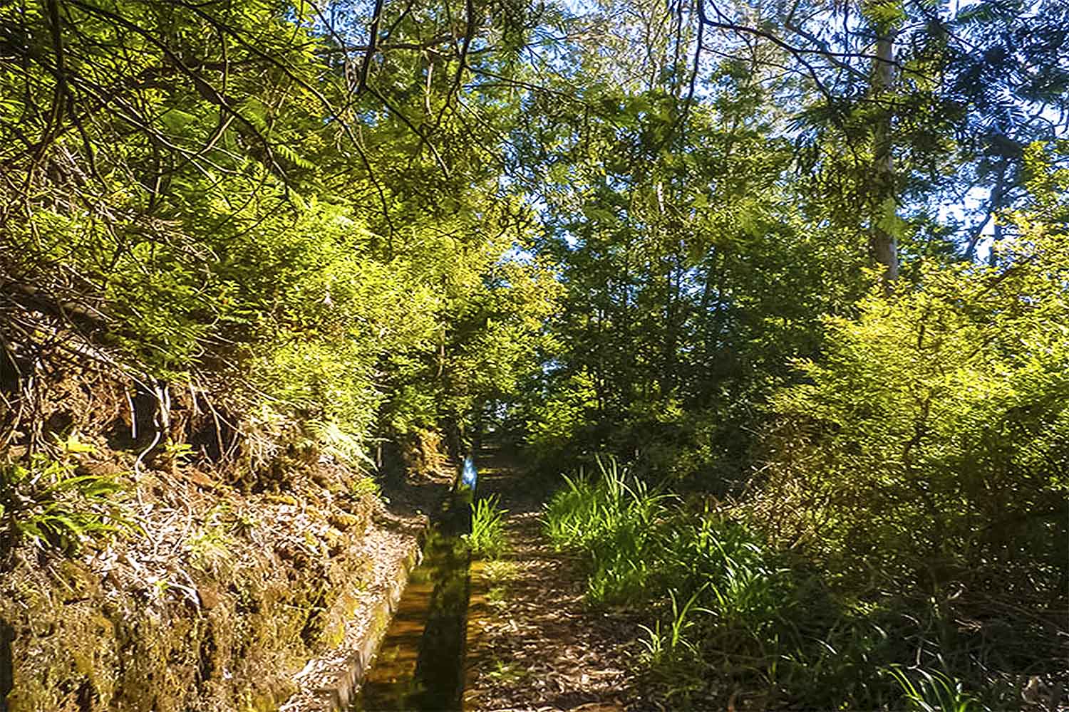 levada-da-silveira-walk