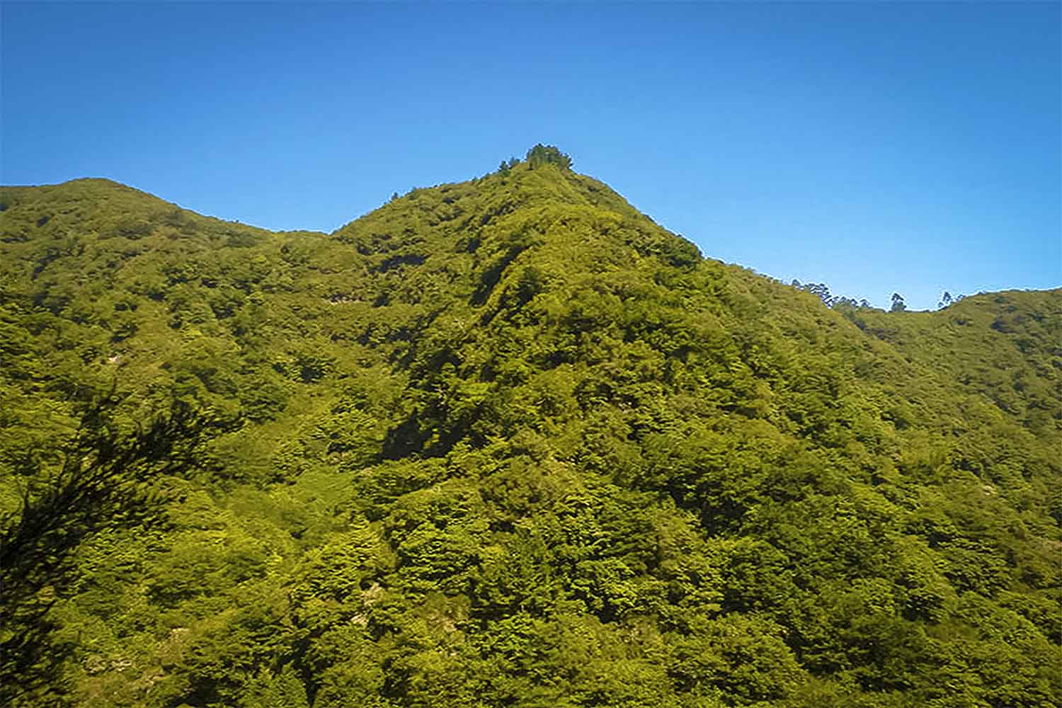 levada-da-silveira-walk