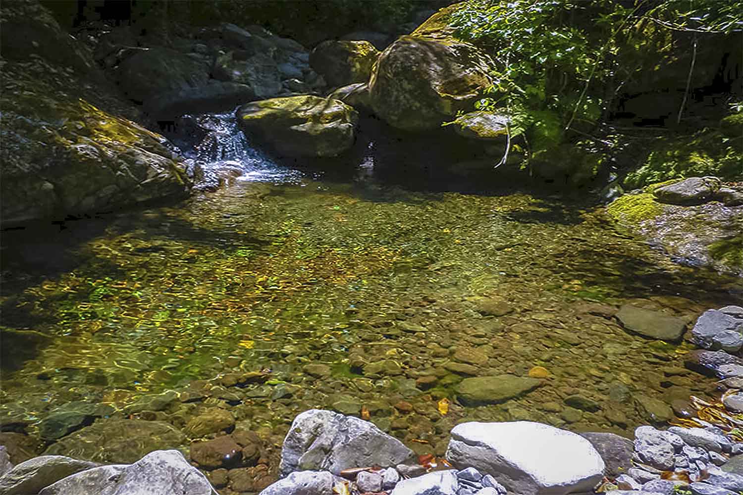 levada-da-silveira-walk
