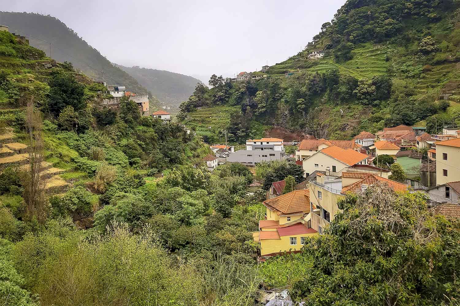 Levada do Caniçal – Machico Walk