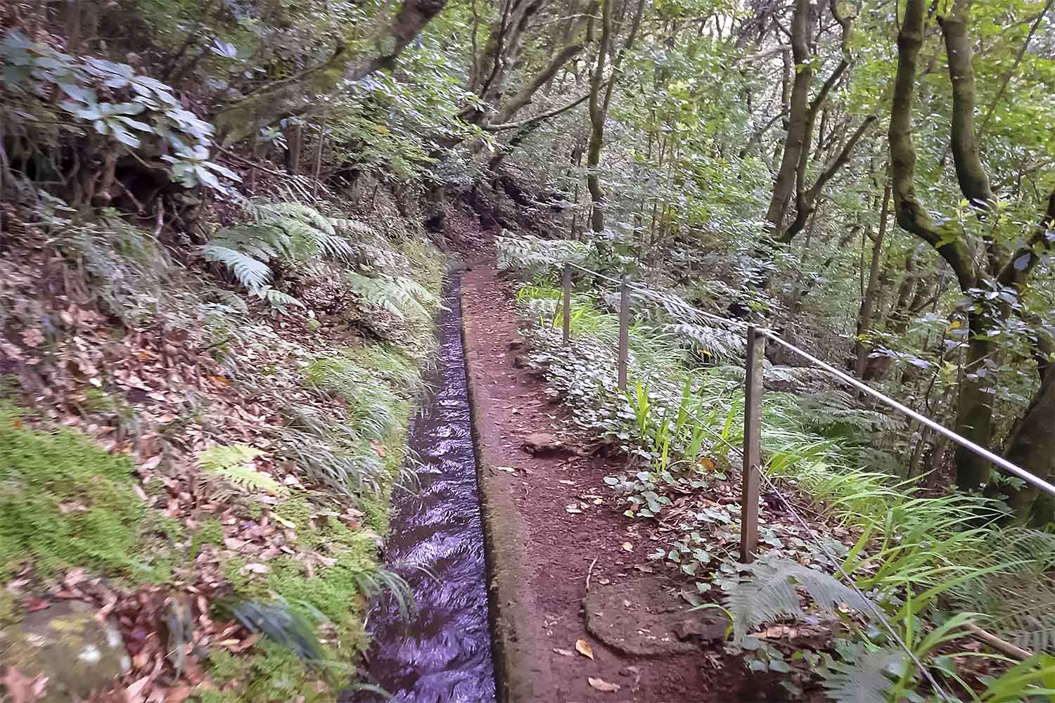 Levada do Moinho Walk