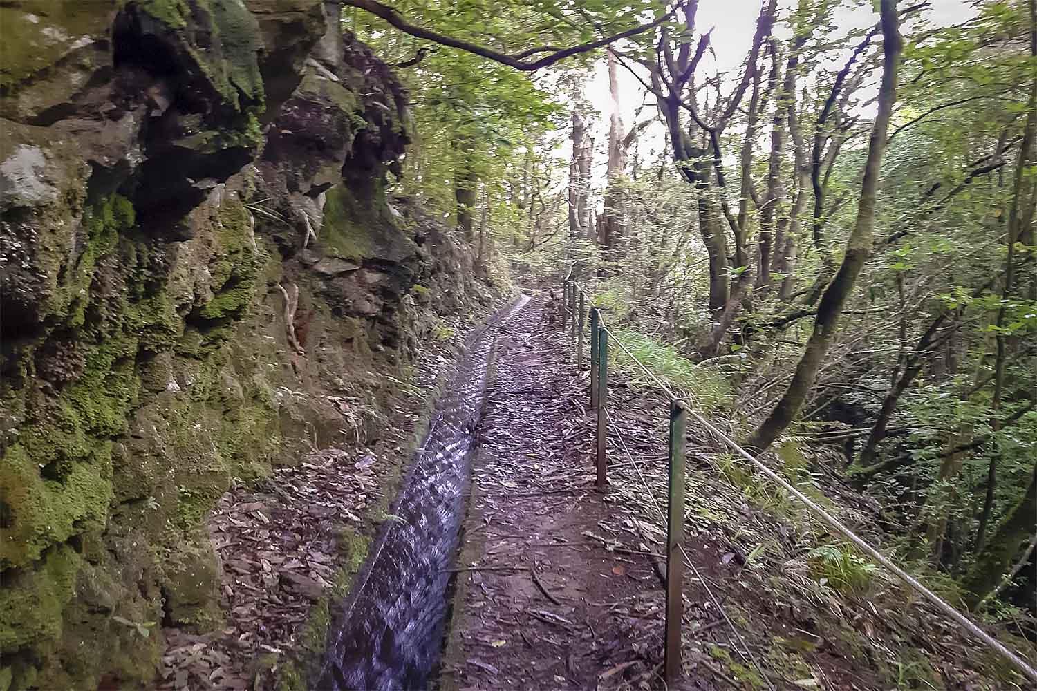 Levada do Moinho Walk