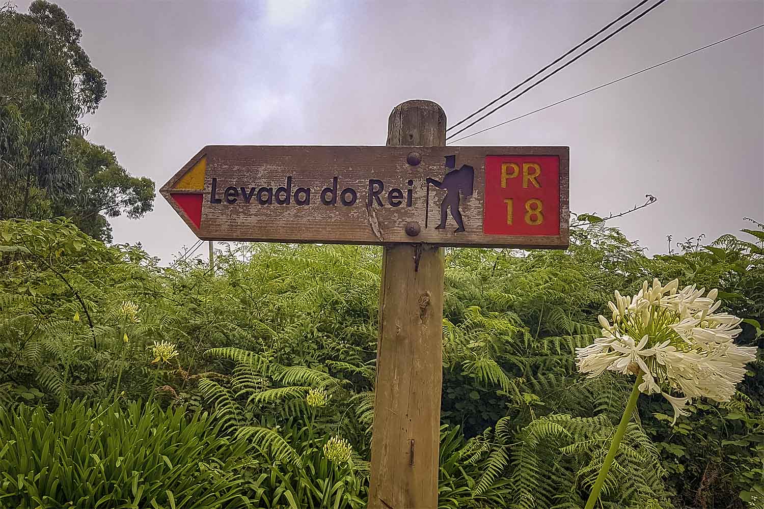 Levada do Rei Walk