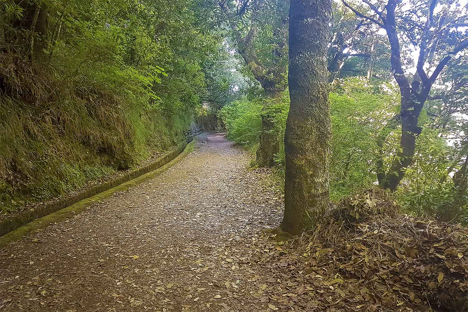 Levada dos Balcões Walk