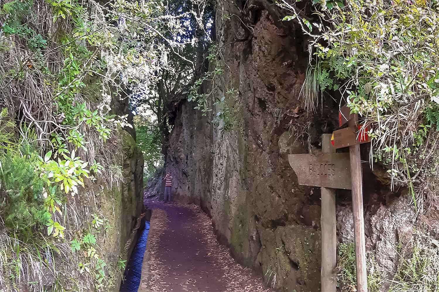 Levada dos Balcões Walk