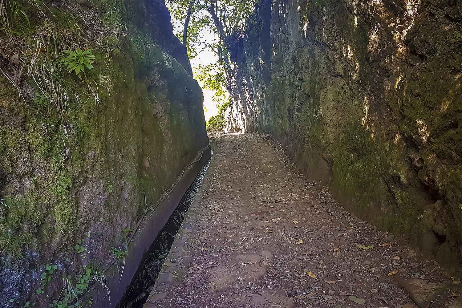 Levada dos Balcões Walk