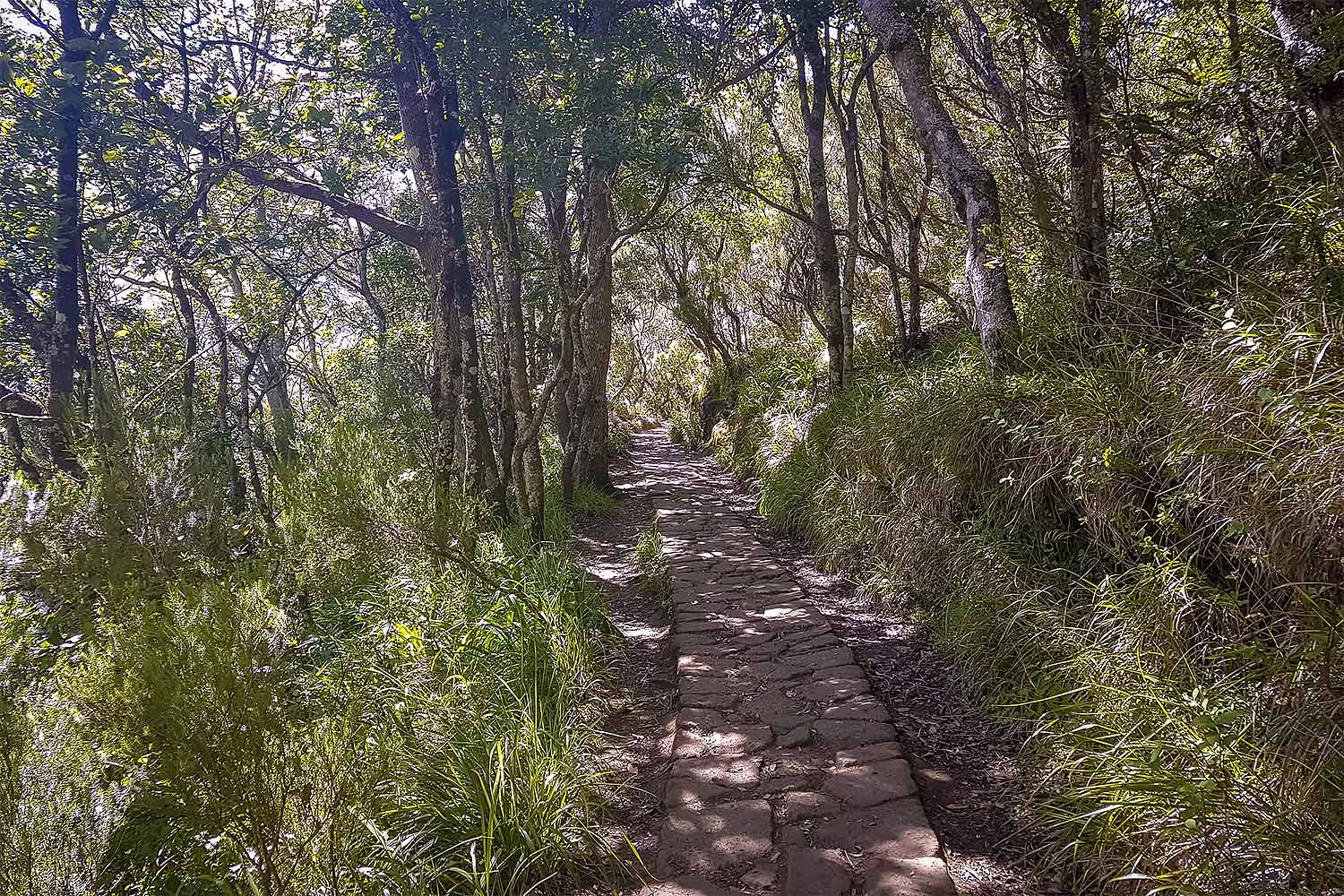 Levada dos Balcões Walk