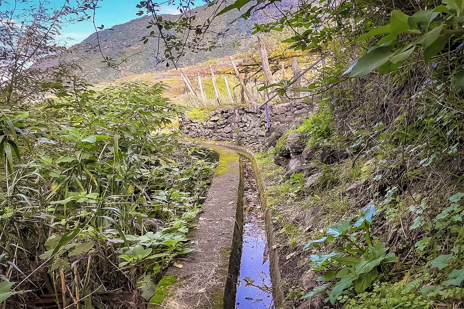 Levada dos Cardais Walk