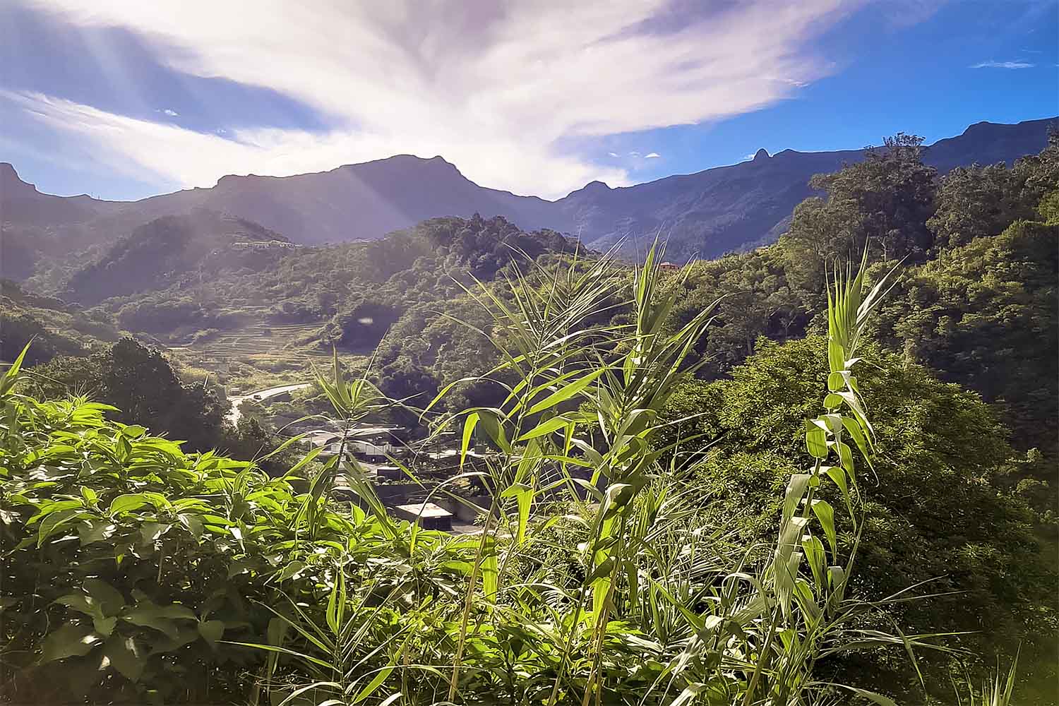 Levada dos Cardais Walk