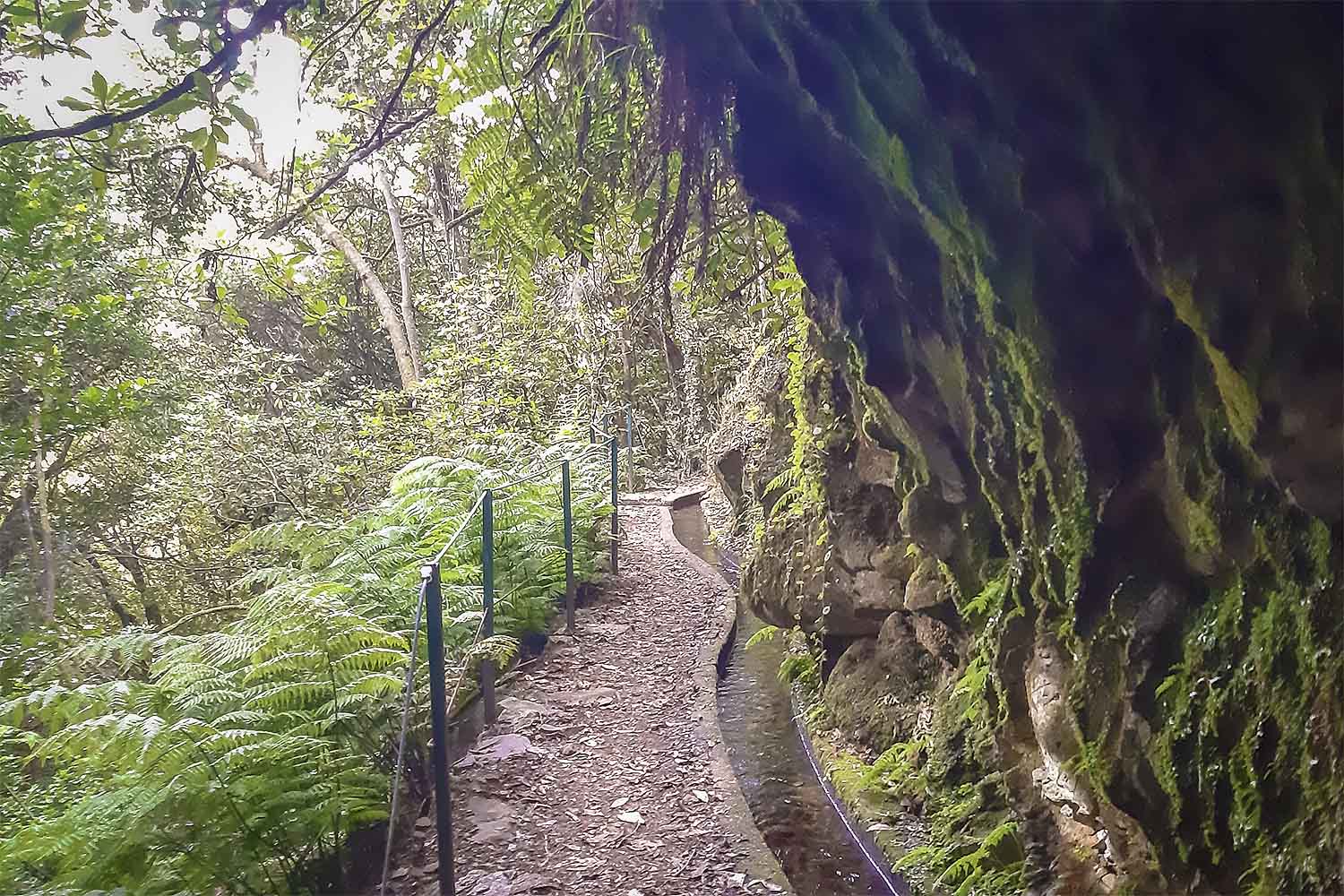 Levada dos Cedros – Fanal Walk