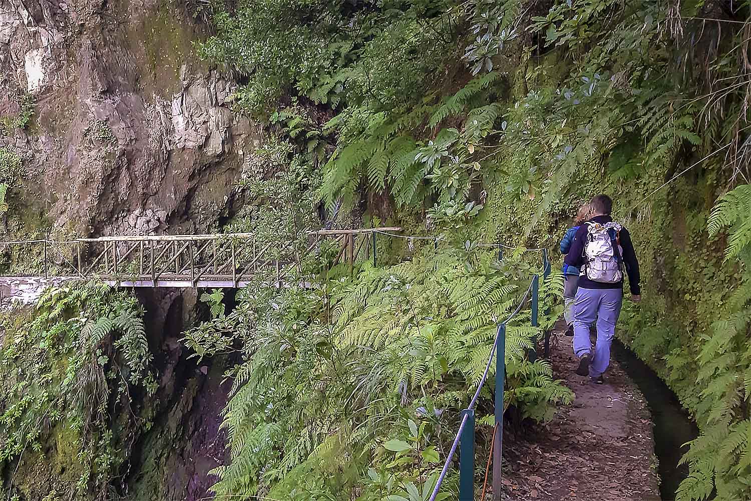 Levada dos Cedros – Fanal Walk