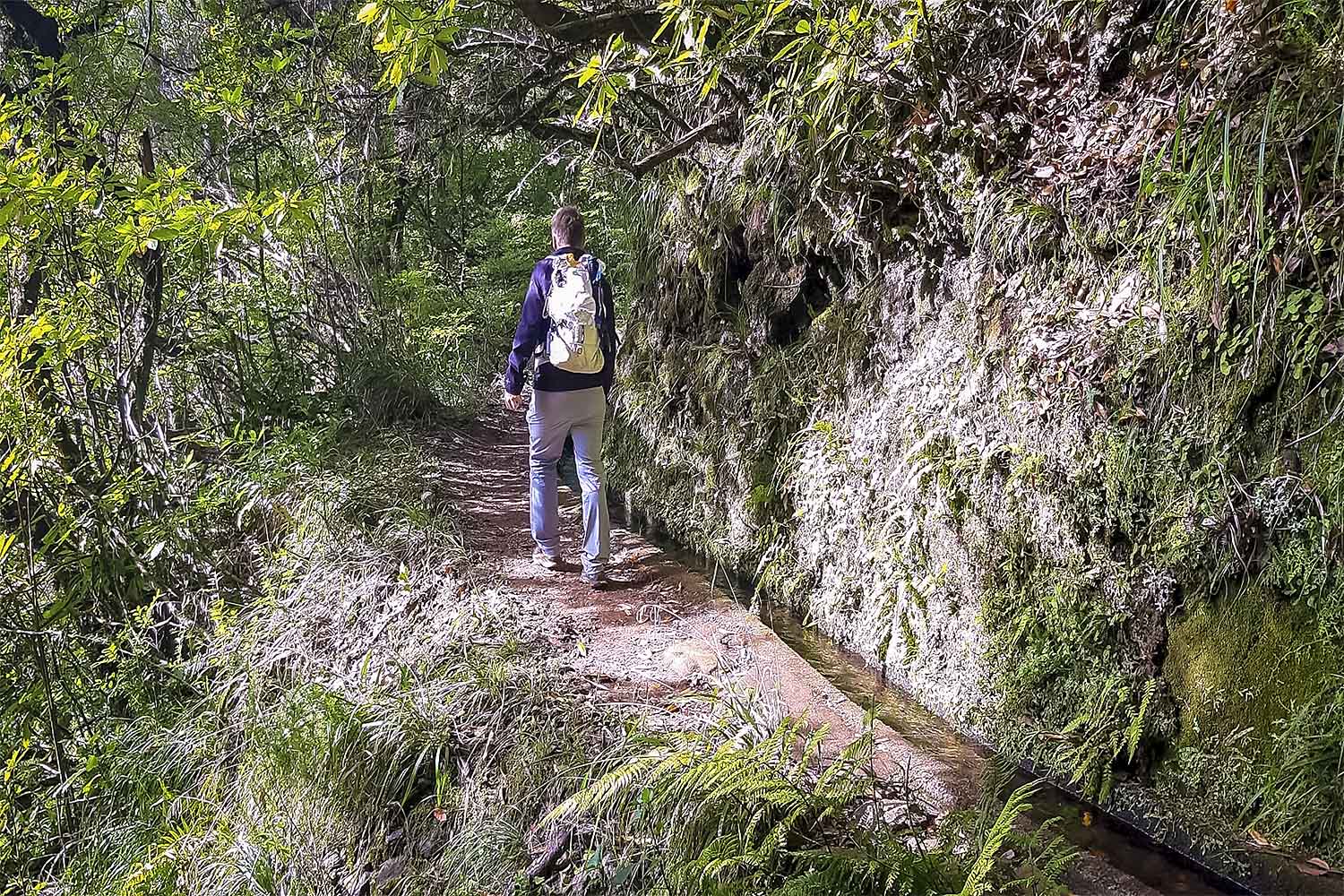 Levada dos Cedros – Fanal Walk