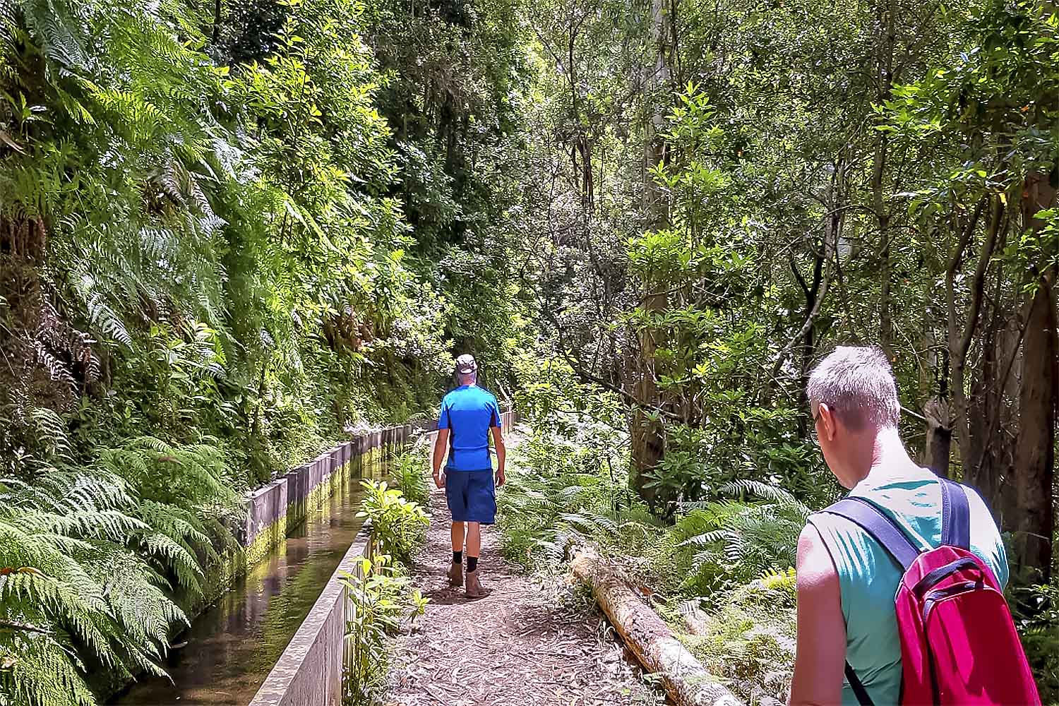 Levada Fajã dos Rodrigues Walk