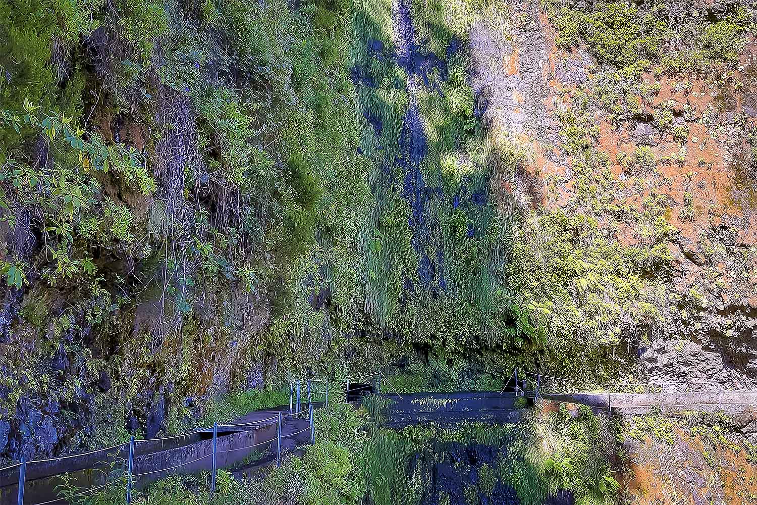 Levada Fajã dos Rodrigues Walk