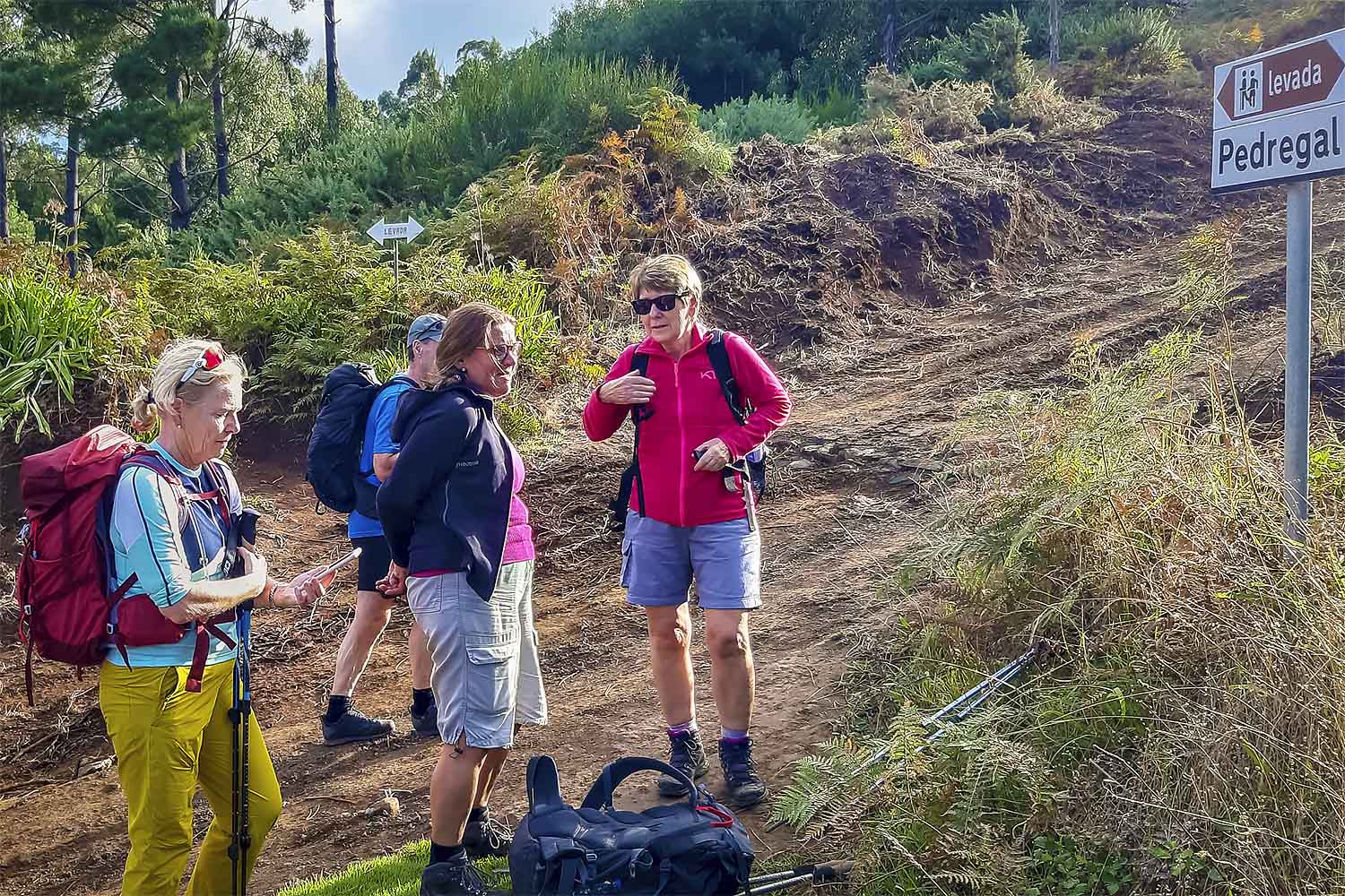 Levada Pedregal – Ponta do Pargo Walk