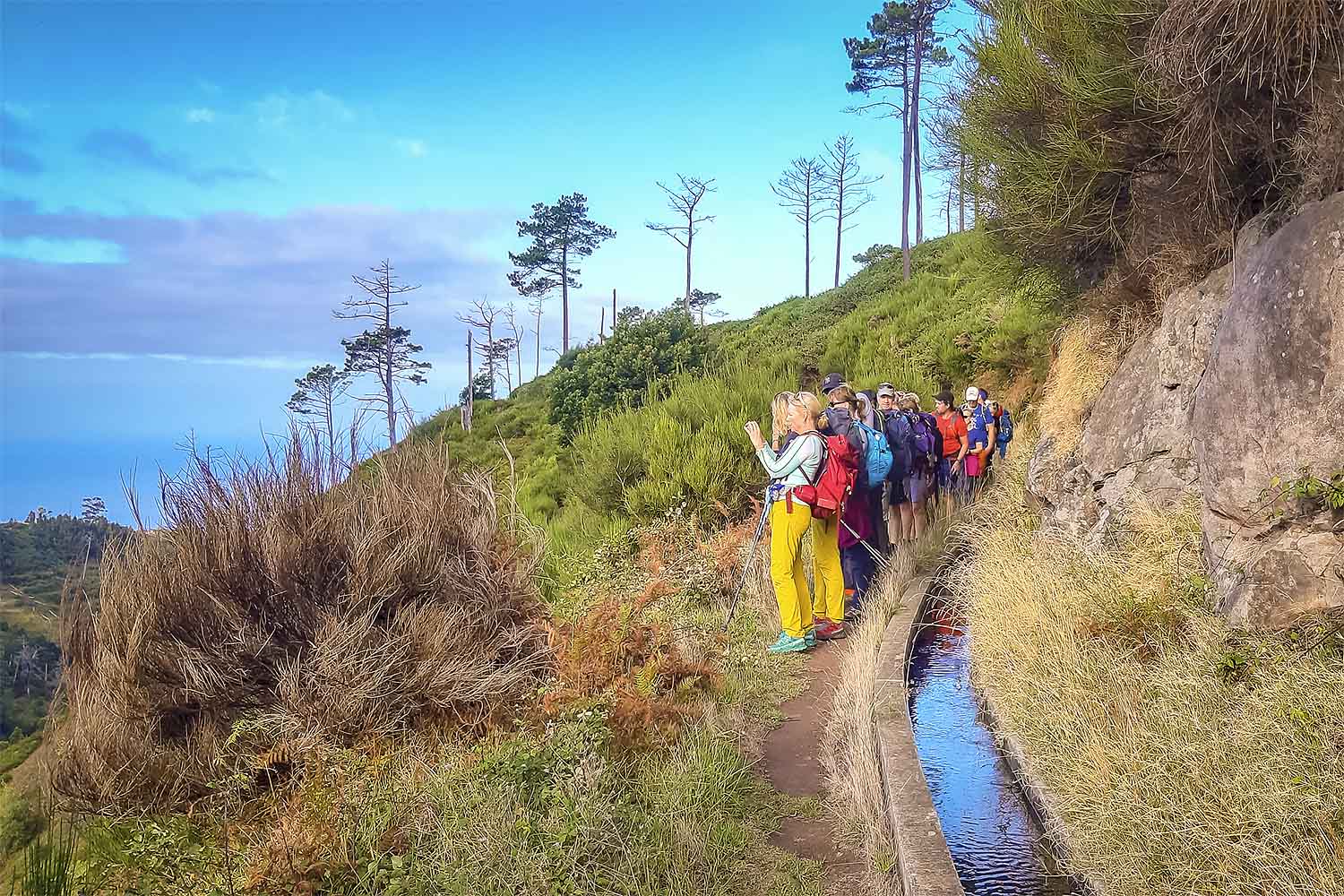Levada Pedregal – Ponta do Pargo Walk