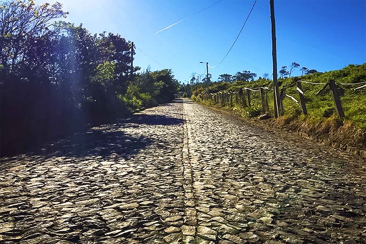 Levada Pedregal – Ponta do Pargo Walk