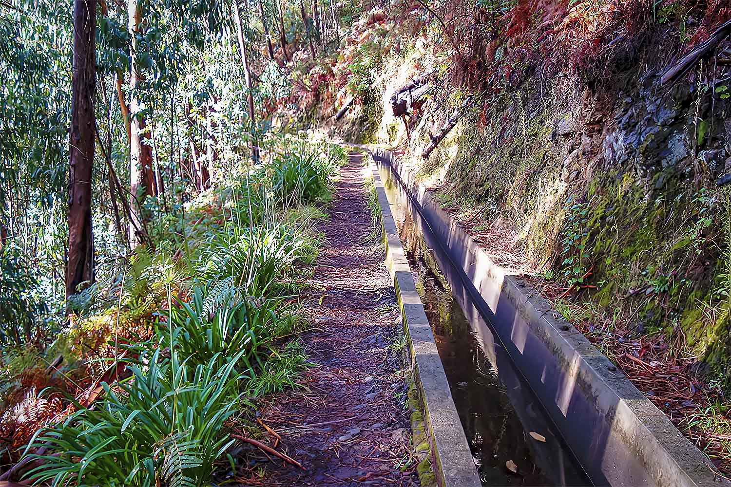 Levada Prazeres – Raposeira Walk