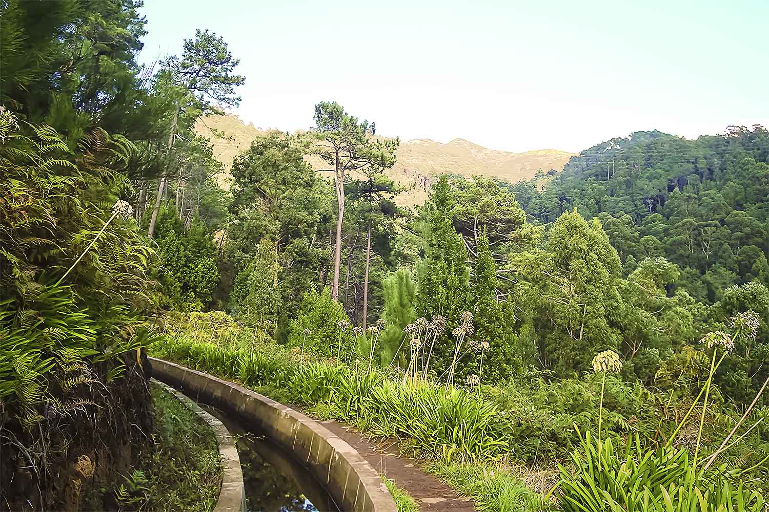 Levada Prazeres – Raposeira Walk