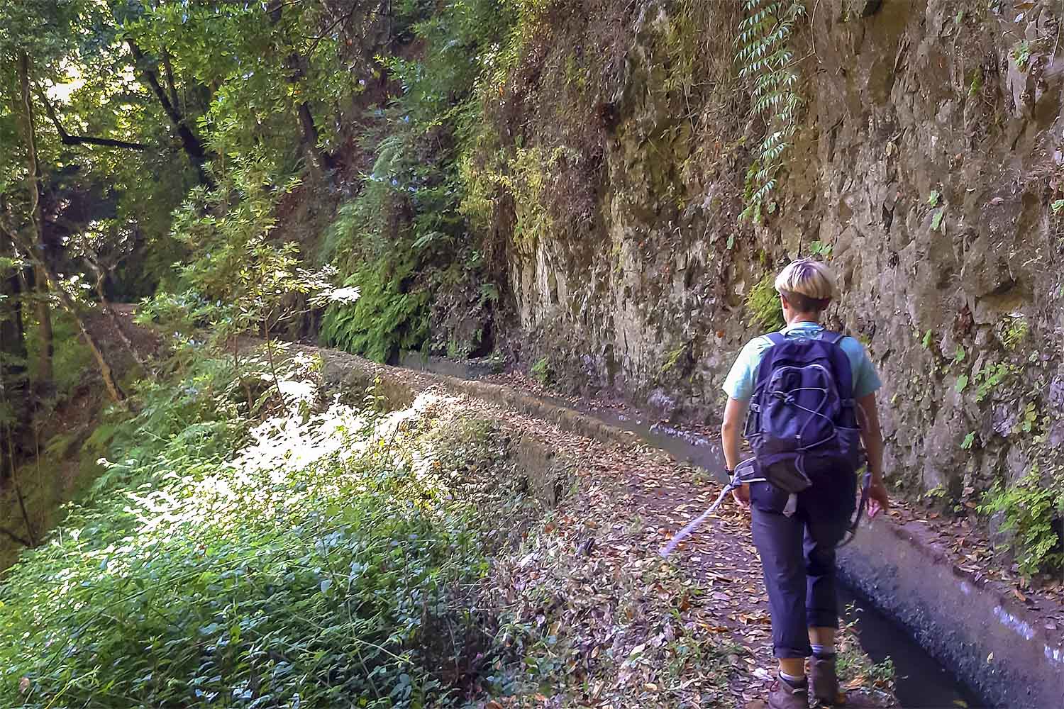 Levada Ribeira da Janela Walk