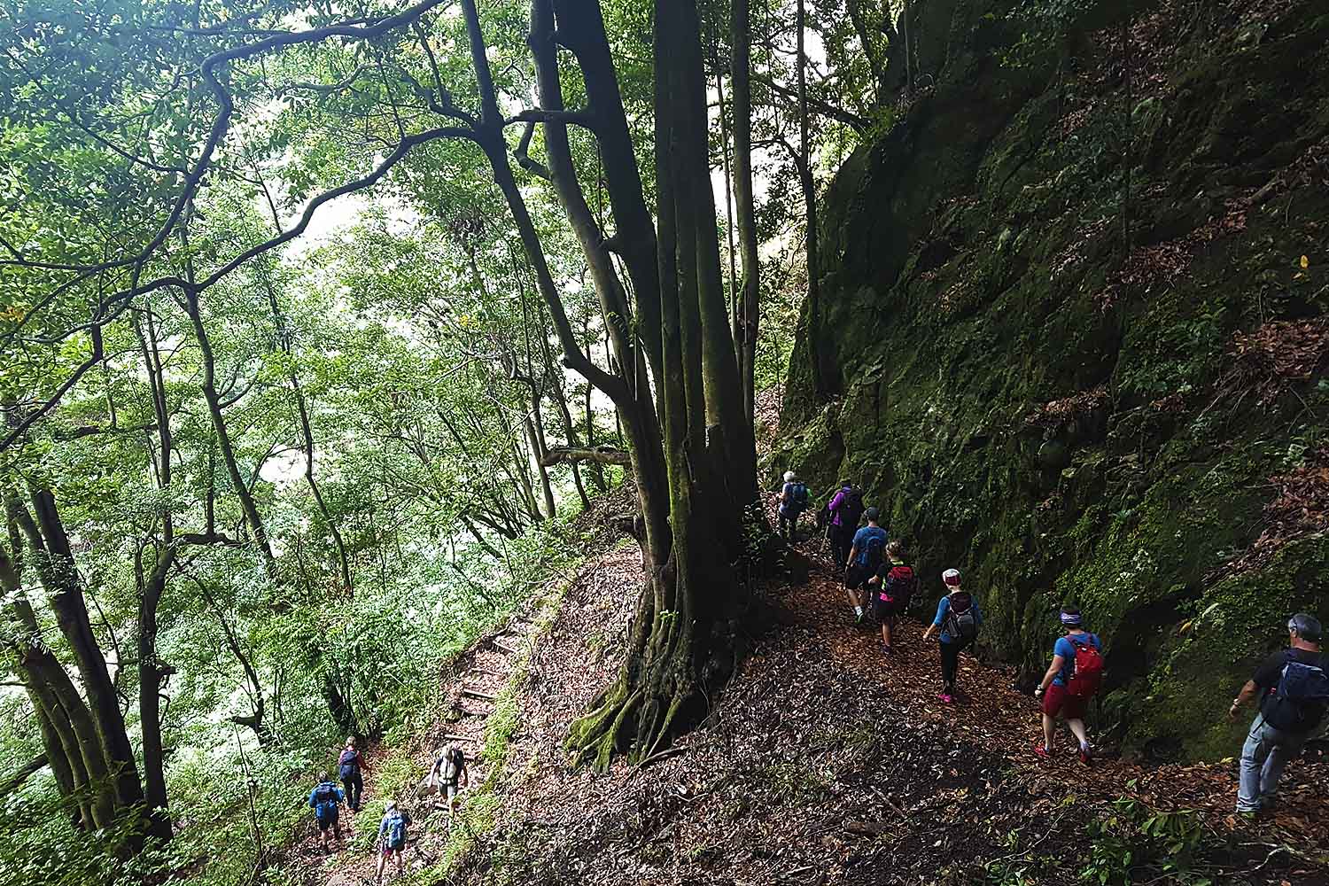 Levada Ribeira da Janela Walk