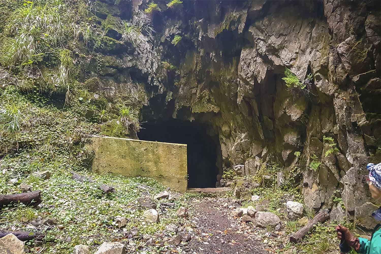 Levada Ribeira da Janela Walk