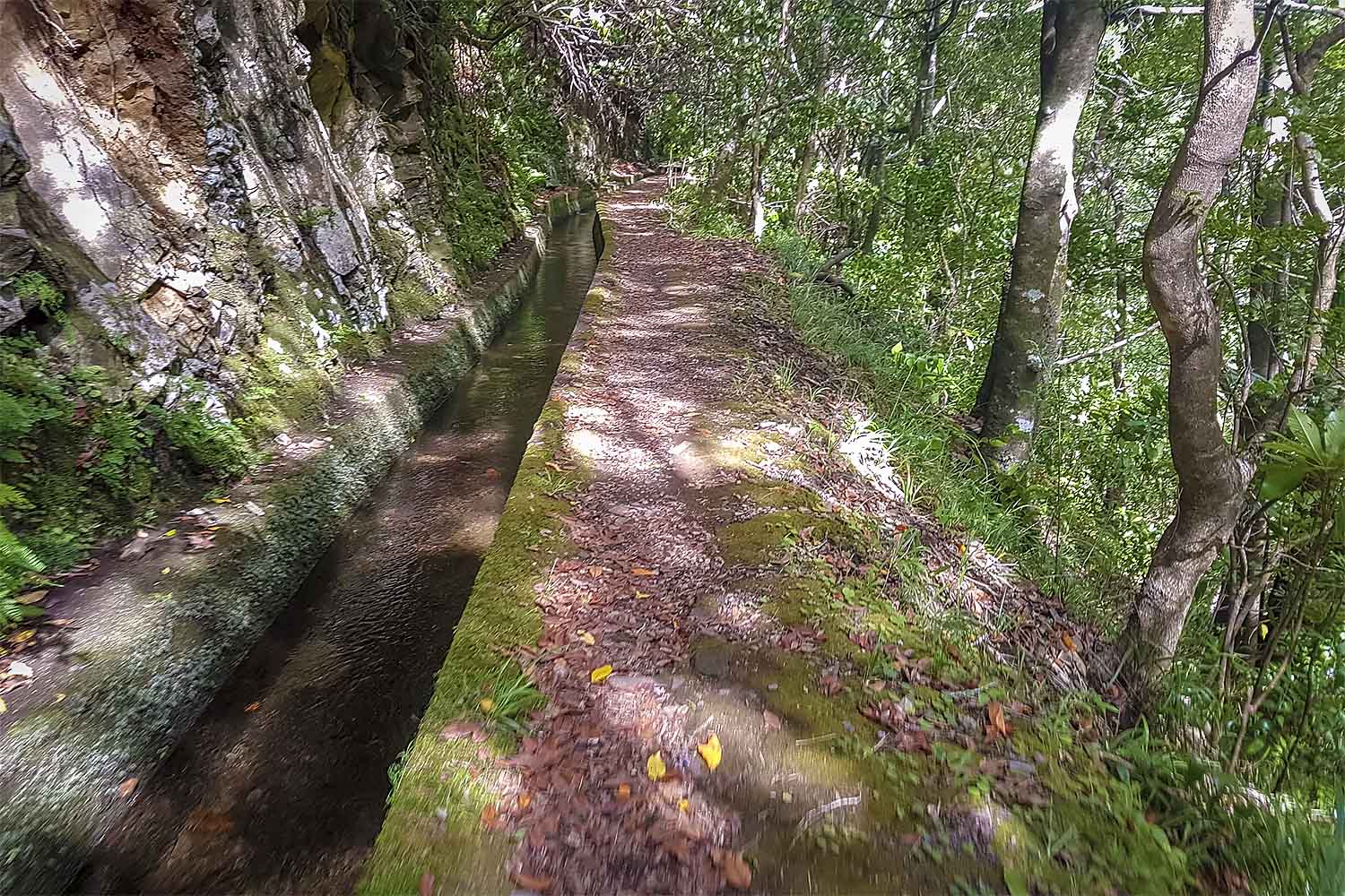Levada Ribeira da Janela Walk