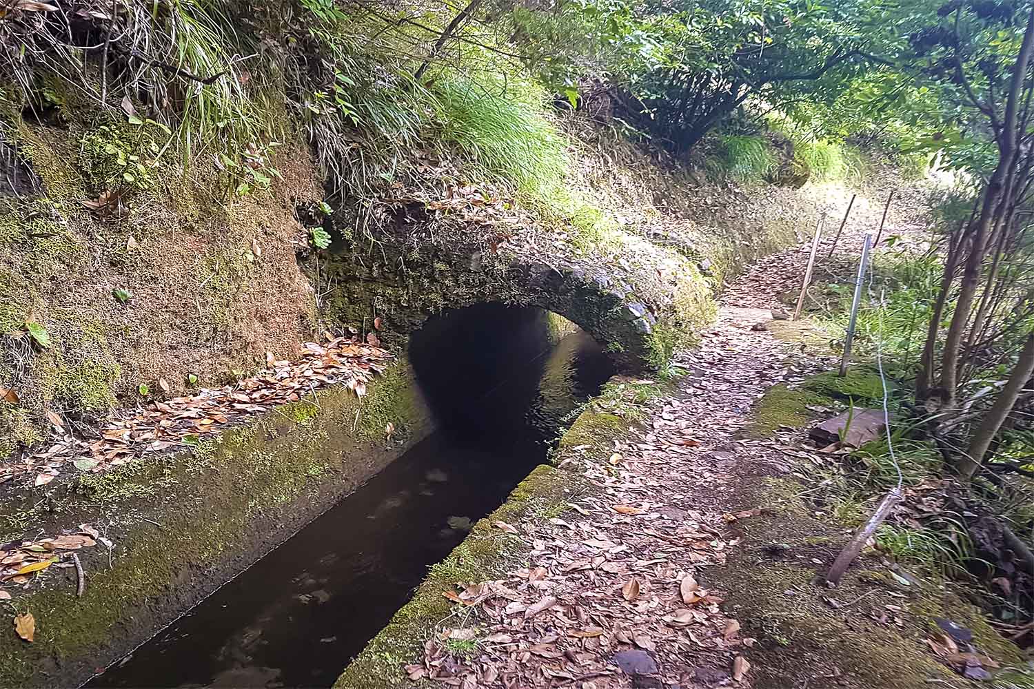 Levada Ribeira da Janela Walk