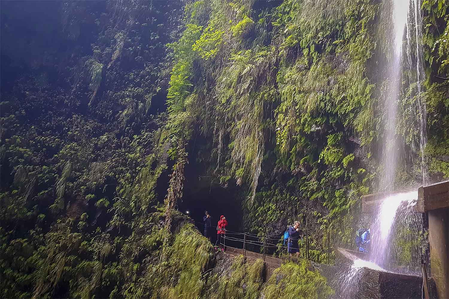 Levada Ribeira da Janela Walk
