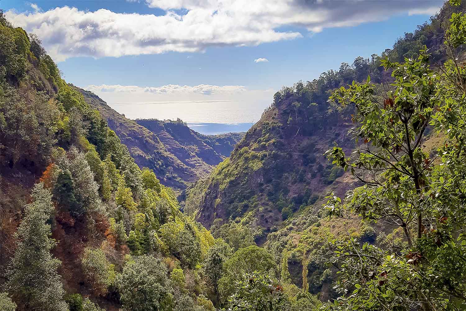 MOINHO – LEVADA NOVA WALK