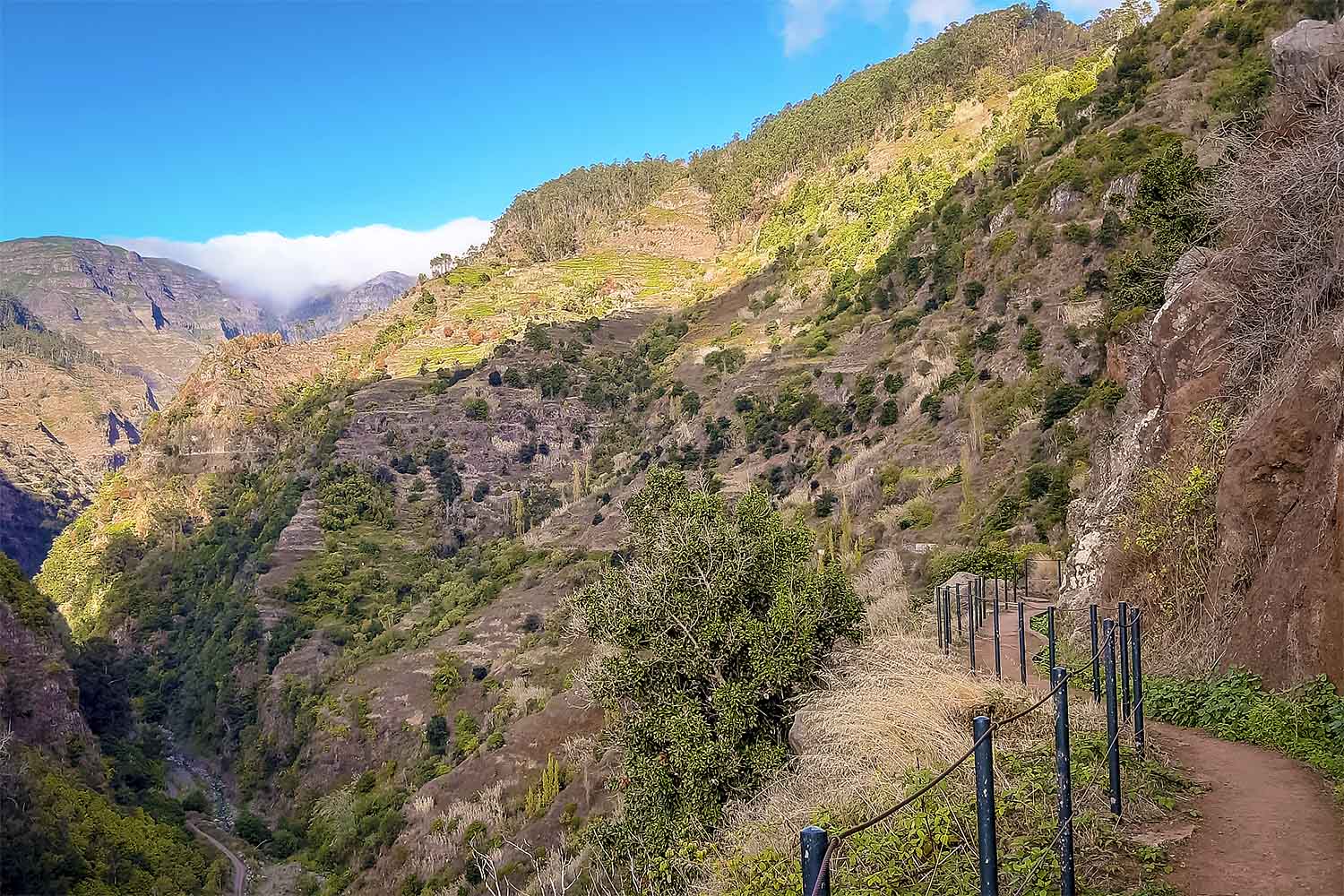 Moinho – Levada Nova Walk