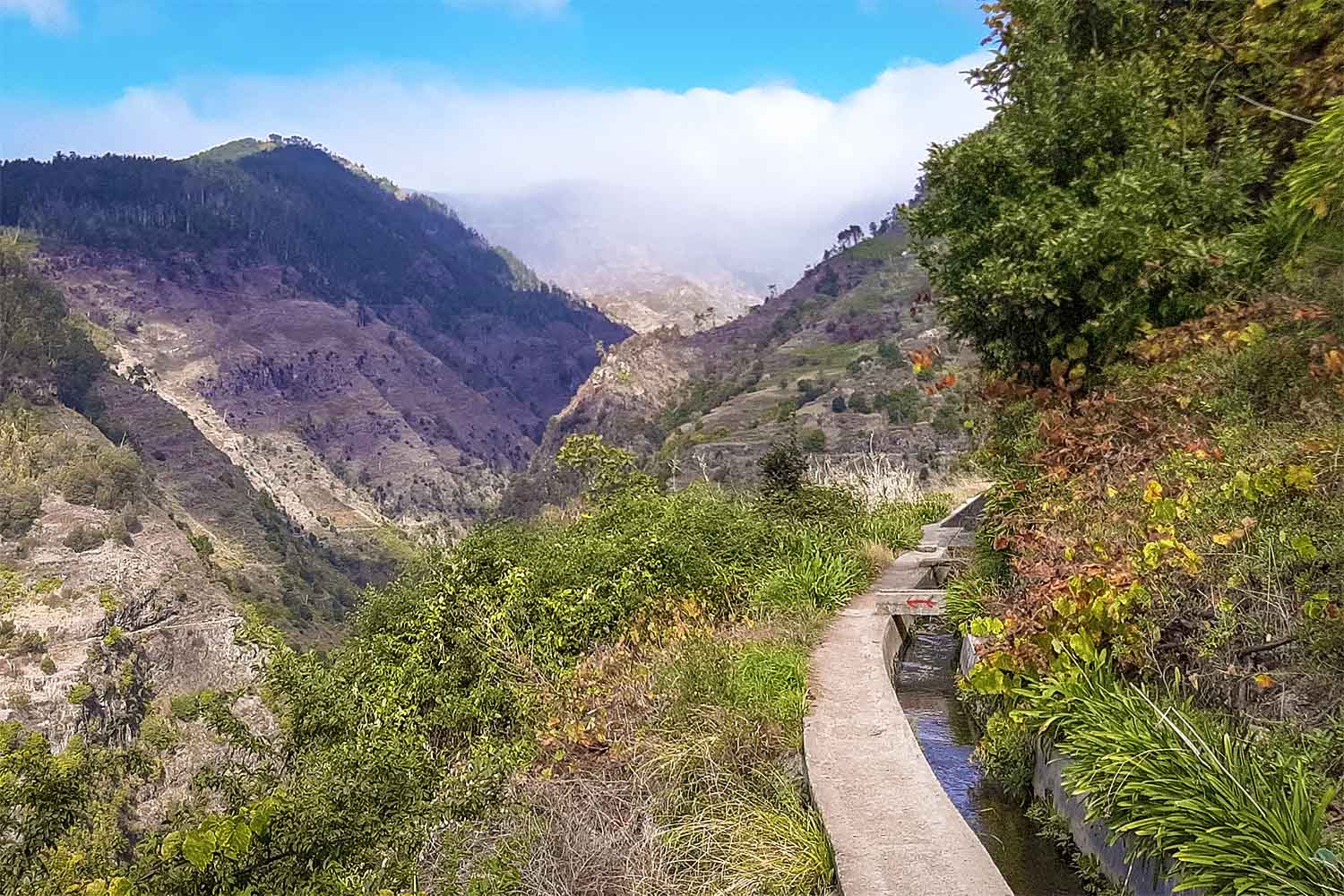 Moinho – Levada Nova Walk