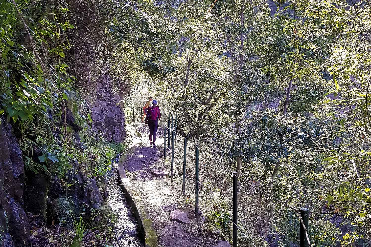 Moinho – Levada Nova Walk
