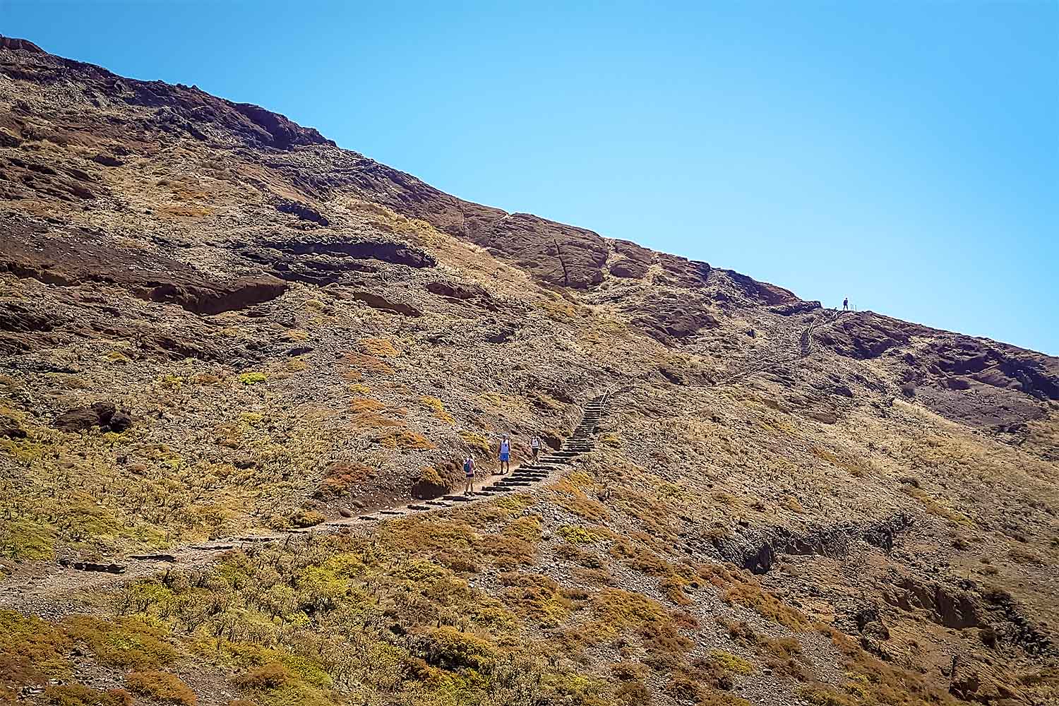 Ponta São Lourenço Walk and Boat Return