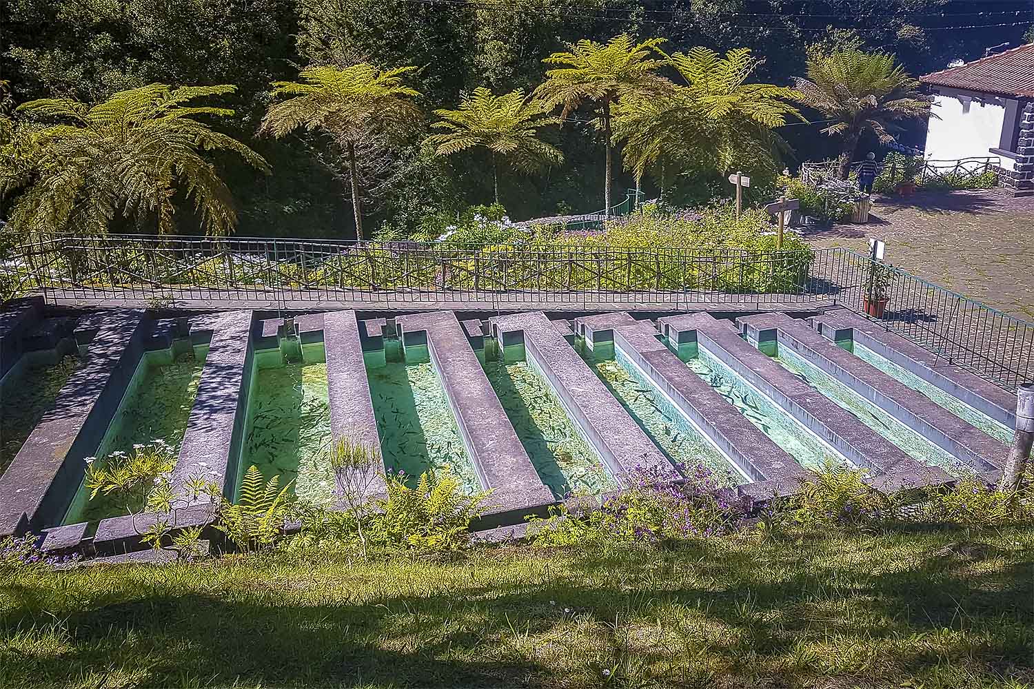 Ribeiro Frio – Chão das Feiteiras Walk