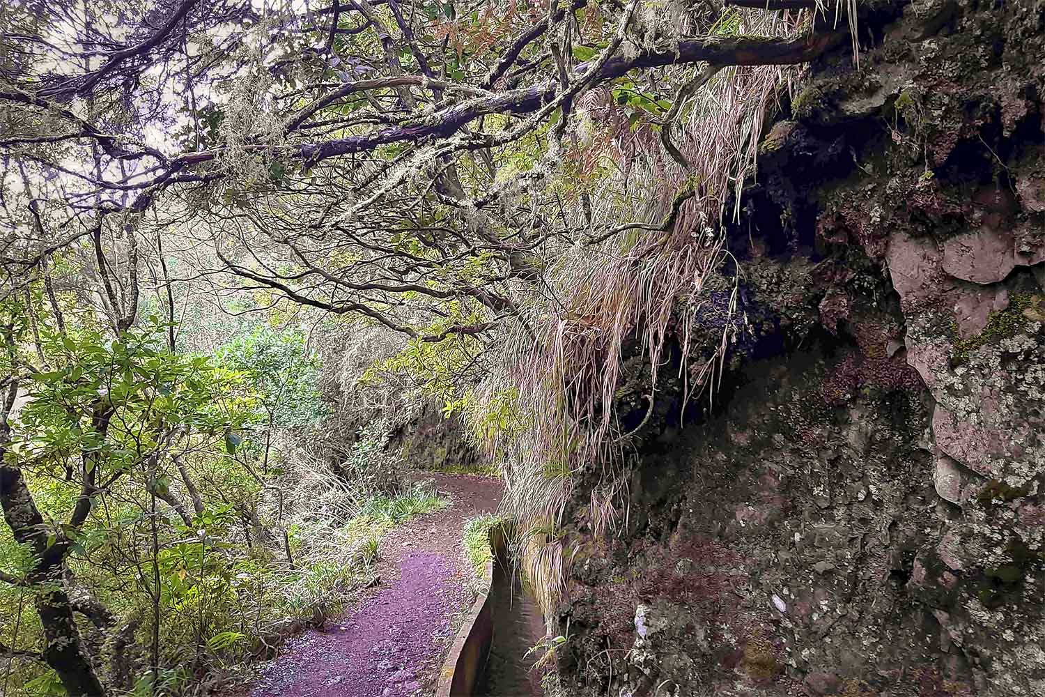 RIBEIRO FRIO – CHÃO DAS FEITEIRAS WALK