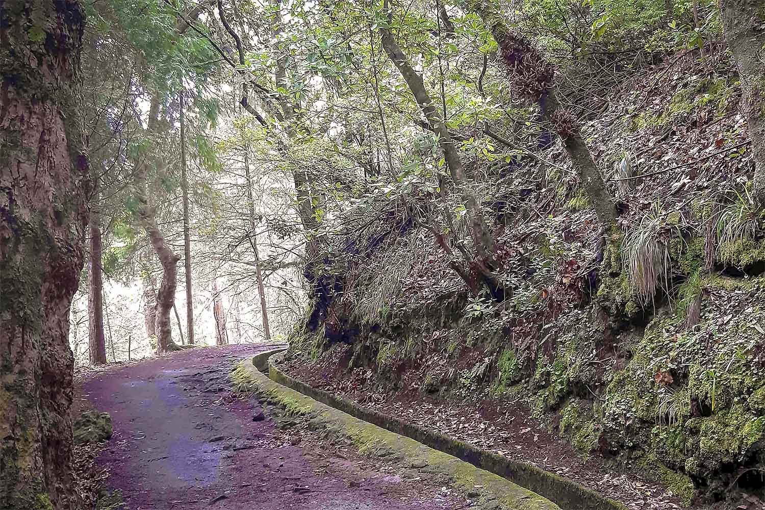 Ribeiro Frio – Chão das Feiteiras Walk