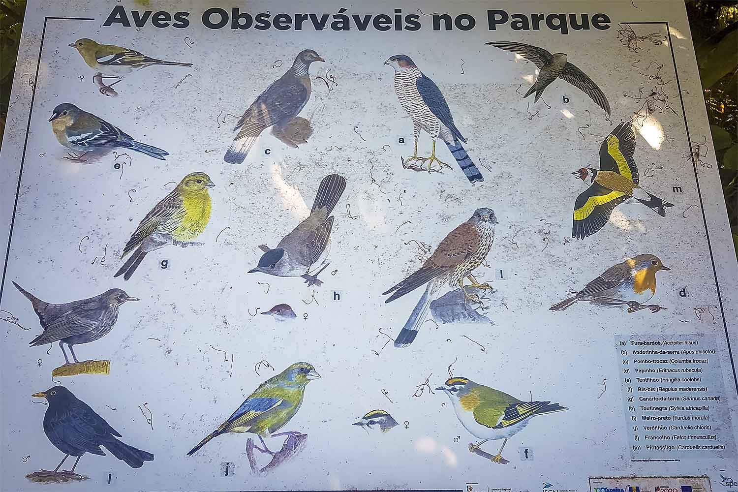 Ribeiro Frio – Chão das Feiteiras Walk