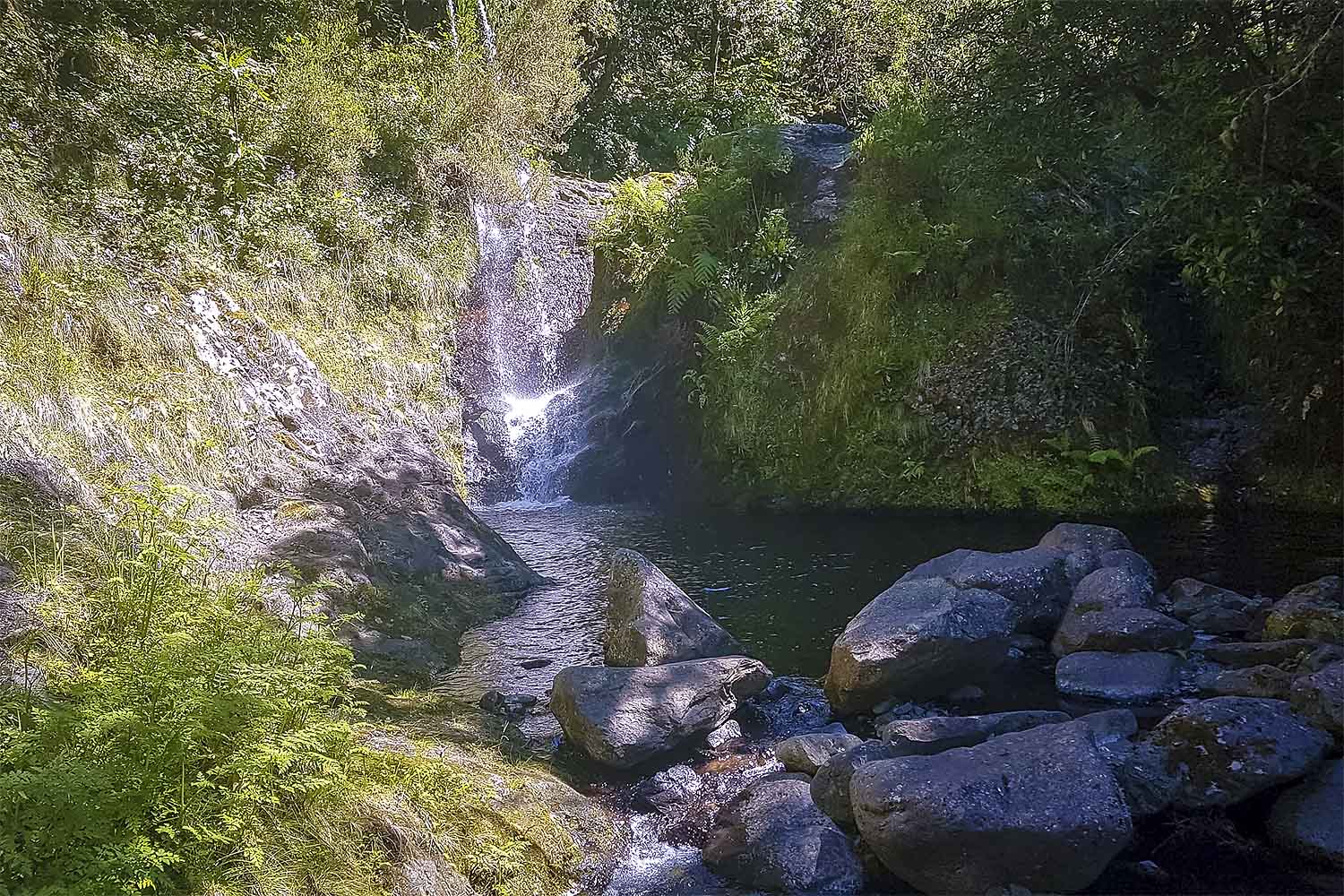 Ribeiro Frio – Chão das Feiteiras Walk